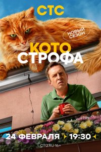 Котострофа